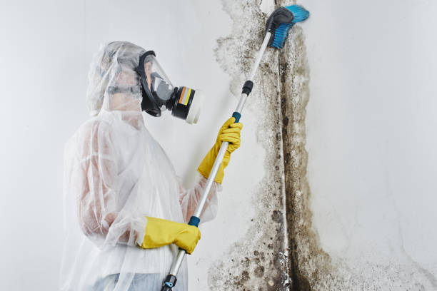 Best Water Damage Restoration  in Seabrook, MD