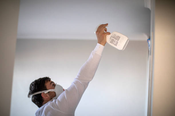 Best Commercial Mold Removal  in Seabrook, MD