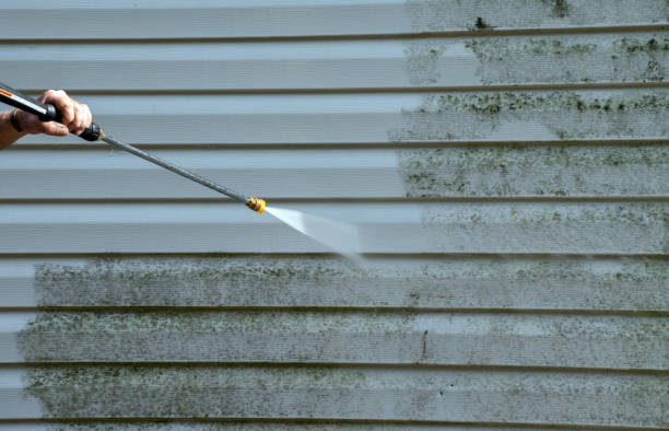 Mold Removal Process in Seabrook, MD