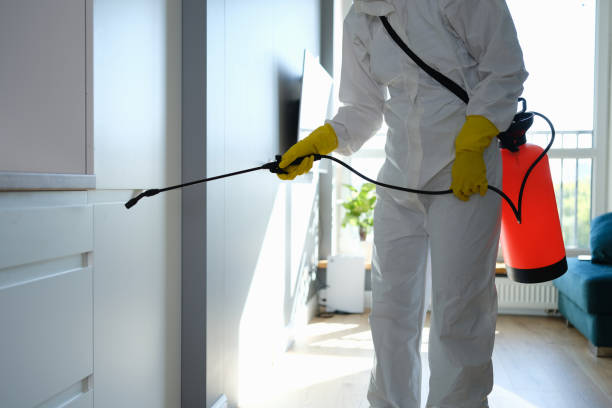 Best Crawl Space Mold Removal  in Seabrook, MD