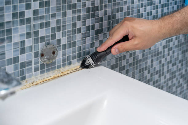 Best Black Mold Removal  in Seabrook, MD