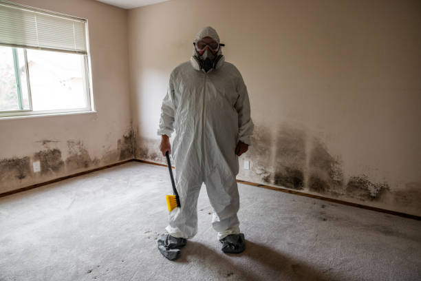 Best Certified Mold Removal  in Seabrook, MD